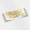 My Driving Scares Me Too