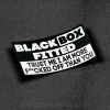 Black Box Fitted