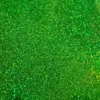 Glitter Green